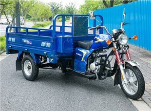 Trydan Cargo Tricycle